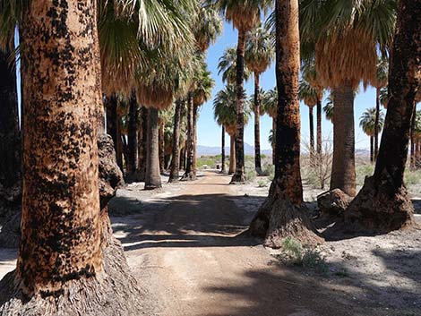 Warm Springs Natural Area