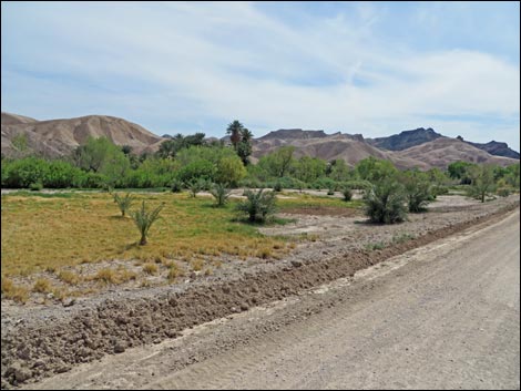 China Ranch