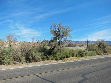 Travertine Springs