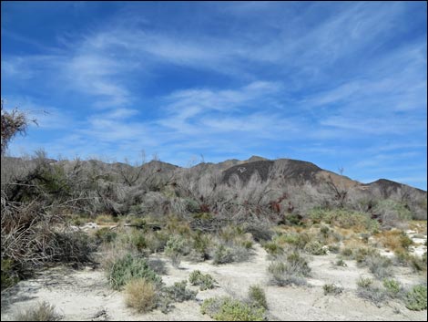 Aqua Birding Trail