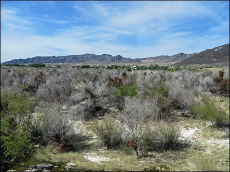 Aqua Birding Trail