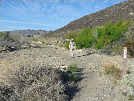 Swimming Pool Trail