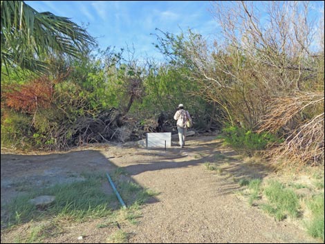 Swimming Pool Trail