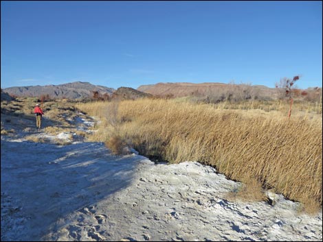 Shoshone Red Birding Trail