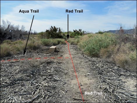 Red Birding Trail