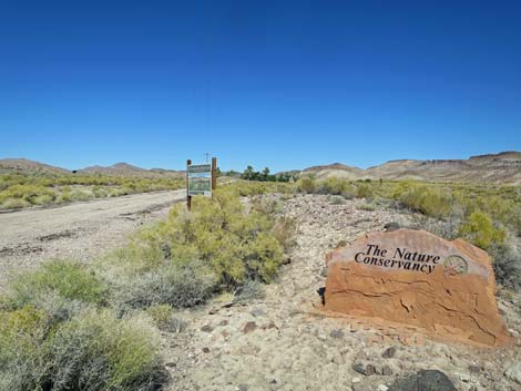 Birding Around the Torrance Ranch