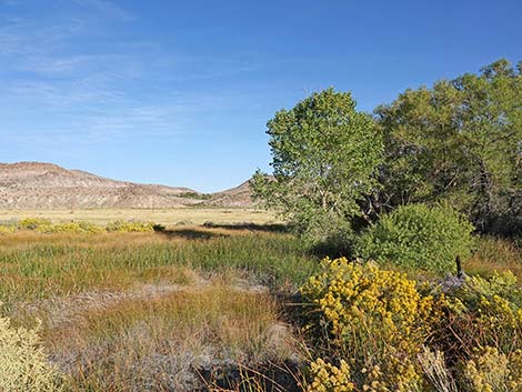 Torrance Ranch