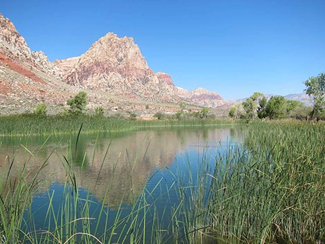 Spring Mountain Ranch State Park