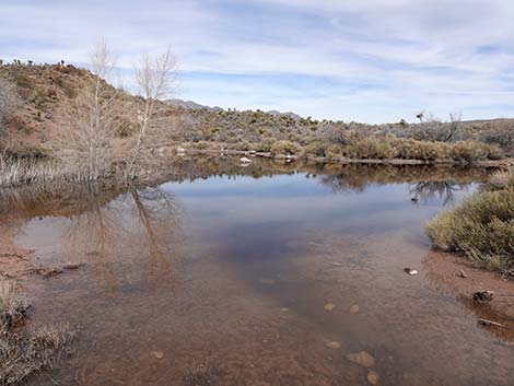 Spring Mountain Ranch State Park