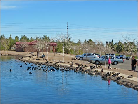 Boulder City Veterans Memorial Park