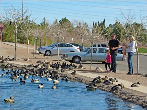 Boulder City Veterans Memorial Park