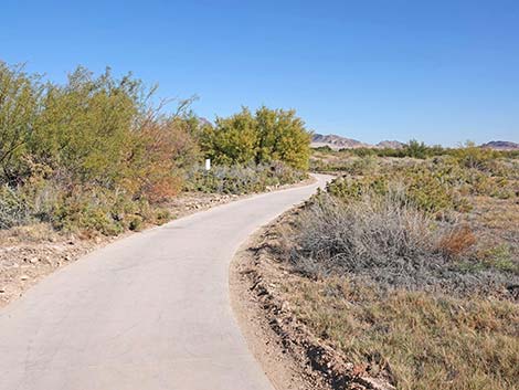 Quail Run Trail