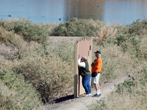 Henderson Bird Viewing Preserve