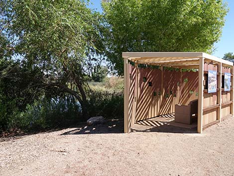 Henderson Bird Viewing Preserve