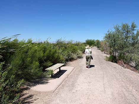 Henderson Bird Viewing Preserve