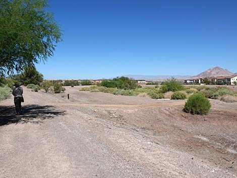 Henderson Bird Viewing Preserve