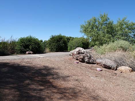 Henderson Bird Viewing Preserve