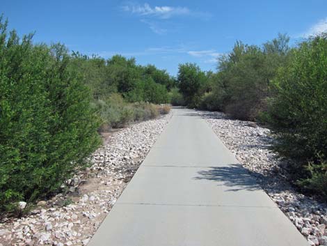 Clark County Wetlands Park