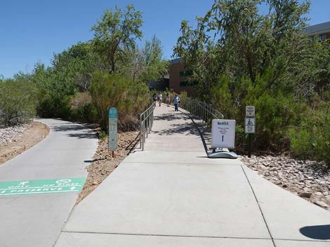 Clark County Wetlands Park