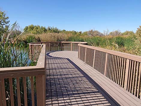 Clark County Wetlands Park