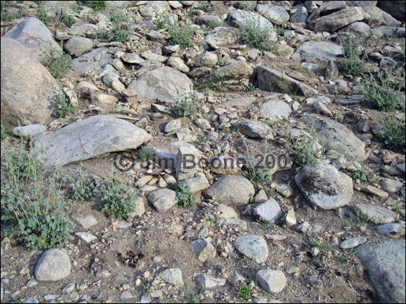 Rocky Desert Soil