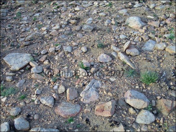 Stony Desert Soil