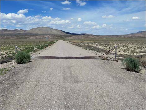 Cattle Guard