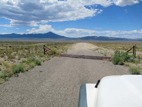 Cattle Guard