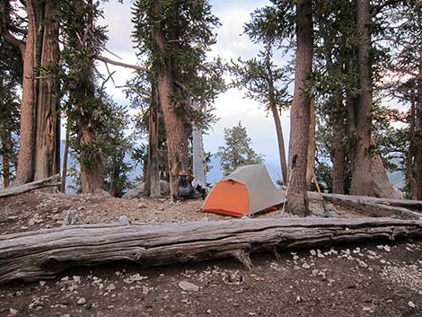 Leave No Trace Camping