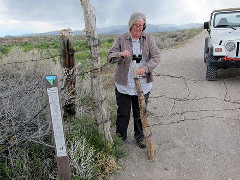 Barbed-Wire Gate