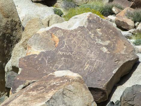 grapevine canyon