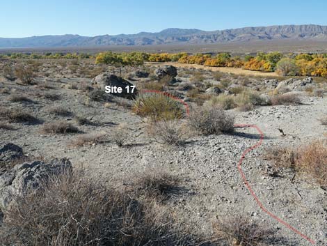 Ash Springs Petroglyph Site