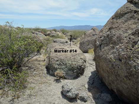 Ash Springs Rock Art Site