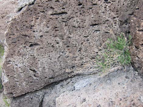 Crystal Wash Main Rock Art Site