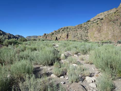 Rainbow Canyon Rock Art