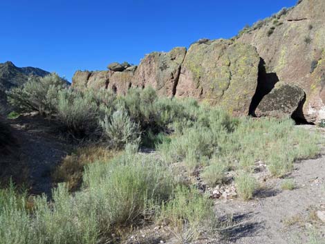 Rainbow Canyon Rock Art