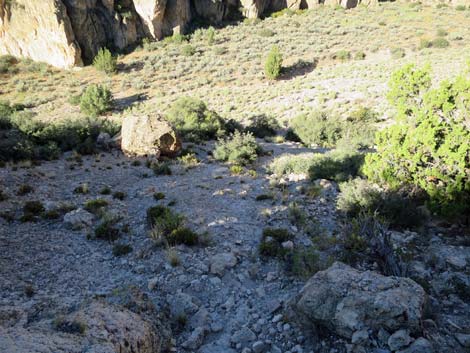 Rainbow Canyon Rock Art