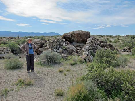 Crystal Wash Shepherd Camp