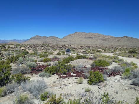 Crystal Wash Shepherd Camp