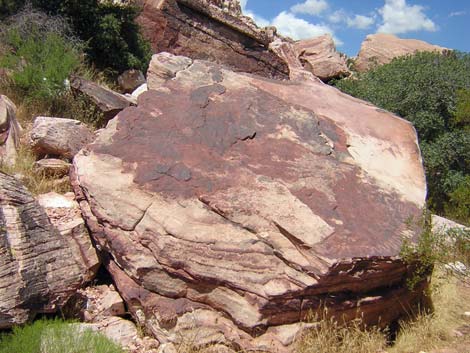 Calico Basin