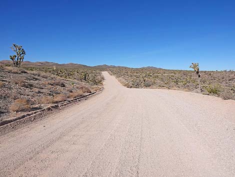 Grasslands Trail