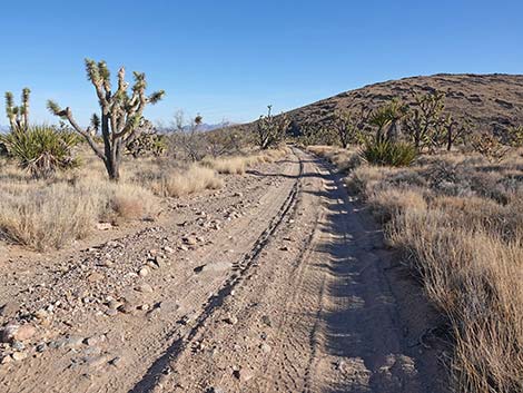 Grasslands Trail