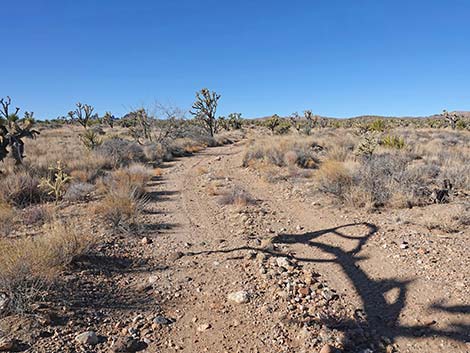 Grasslands Trail