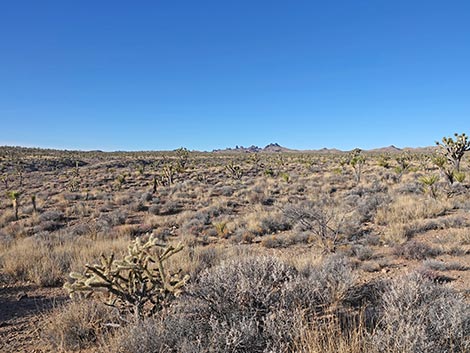 Grasslands Trail