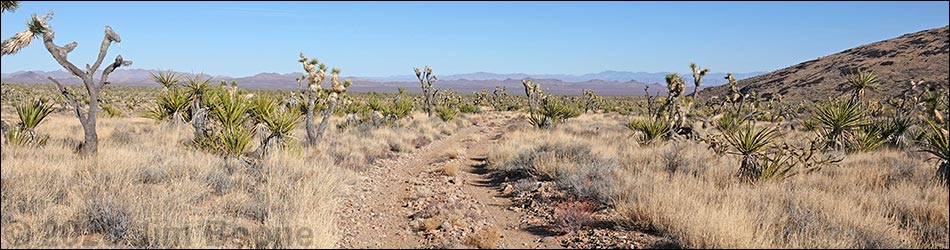 Grasslands Trail