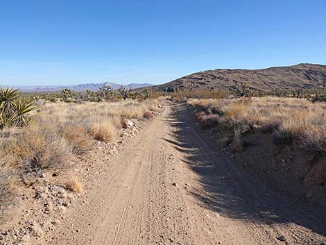 Grasslands Trail