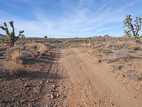 Grasslands Trail