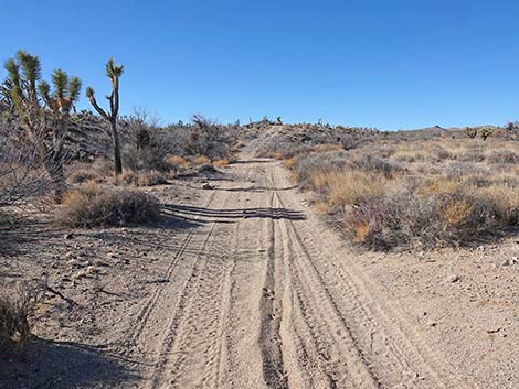 Grasslands Trail