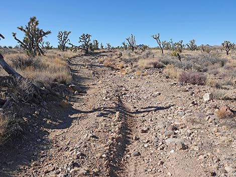 Grasslands Trail