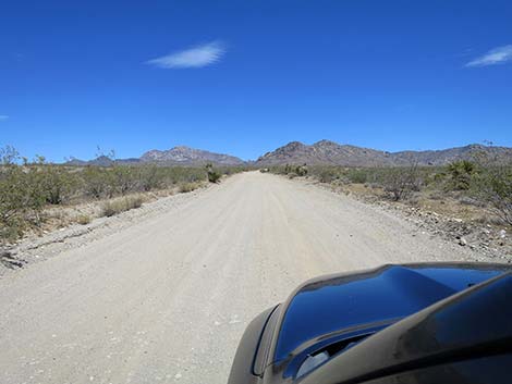 Christmas Tree Pass Road